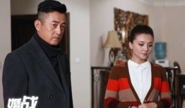 电视剧婚战,爱恨交织的婚姻较量